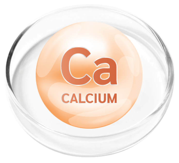 ingredient1.png
