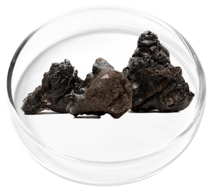 ingredient9.png